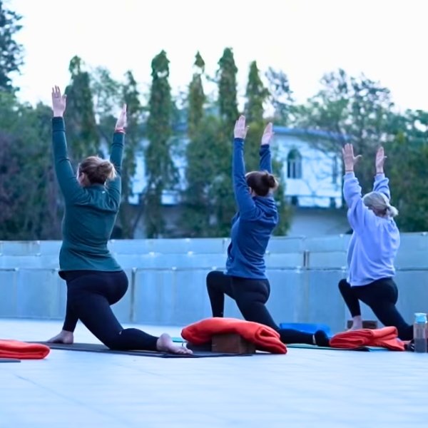 yoga training india