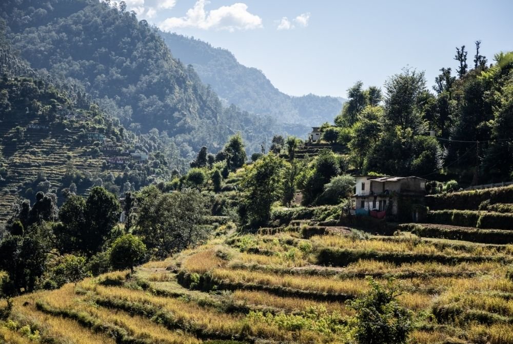 yoga-retreat-in-himalaya-india