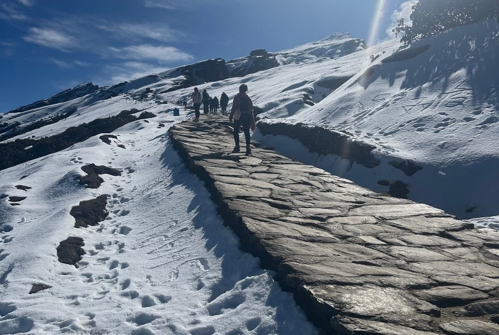 yoga-retreat-in-himalaya-india