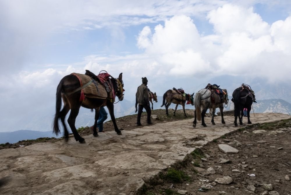 yoga-retreat-in-himalaya-india