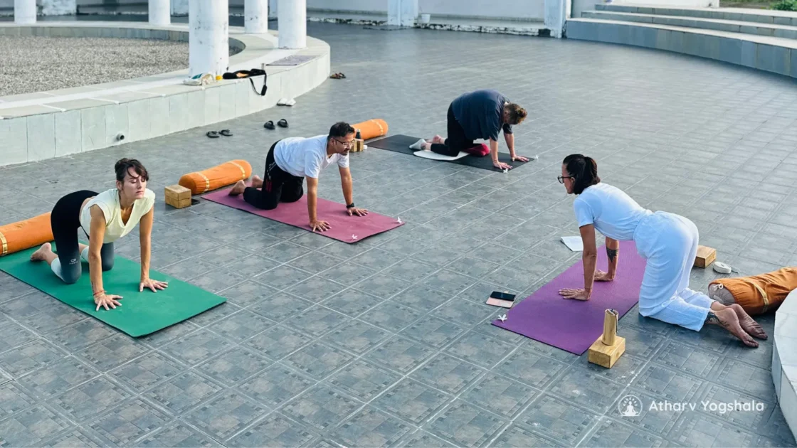 20 min daily yoga practise