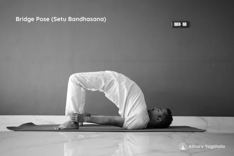 bridge pose setu bandha asana