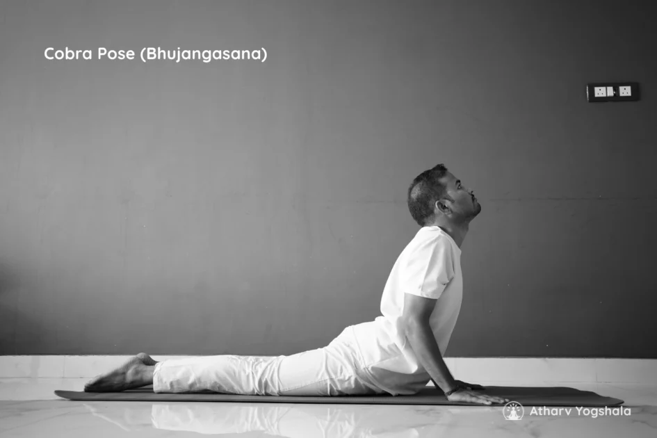 cobra pose bhujanga asana