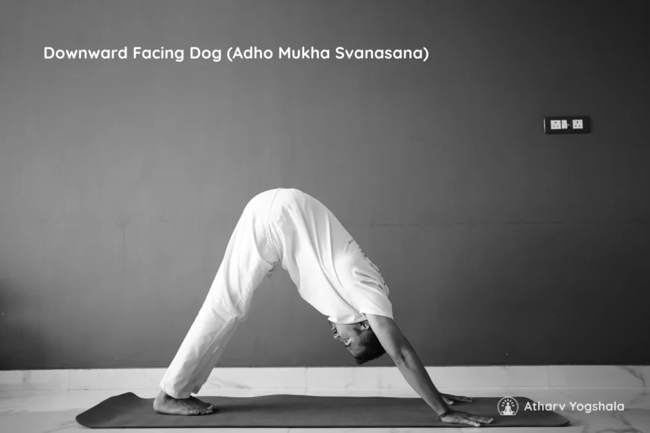 downward facing dog