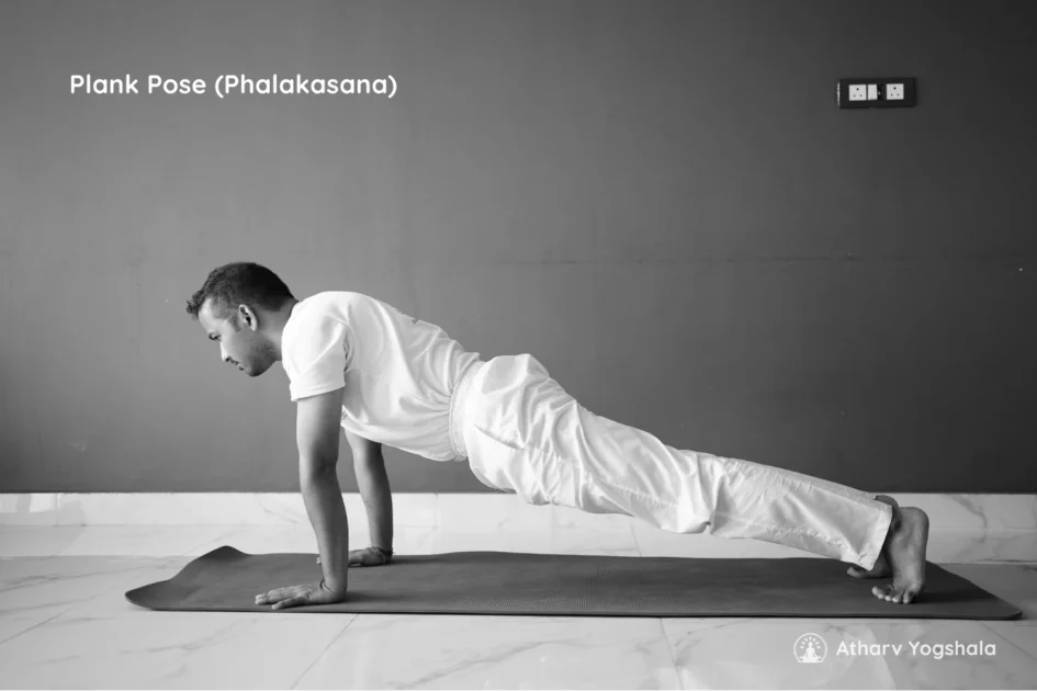 plank pose yoga