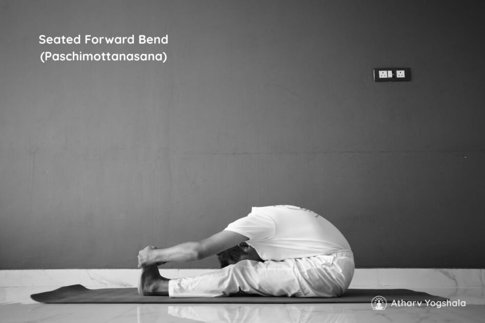 Seated Forward Yoga Pose