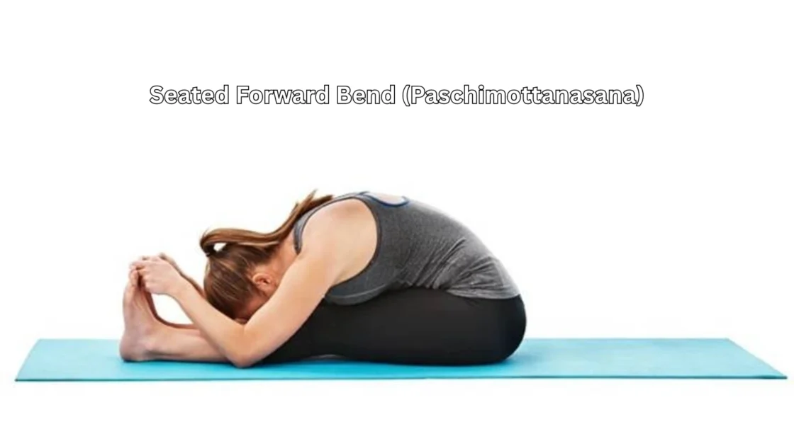 seated forward bend paschimottanasana
