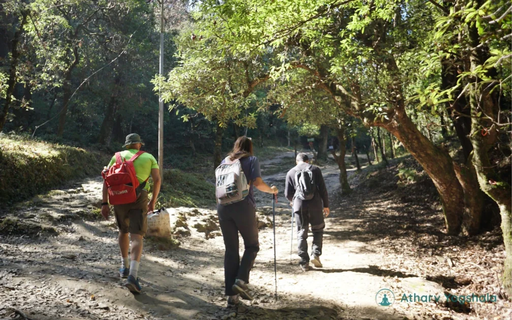 treeking hike in chopta uttarakhand