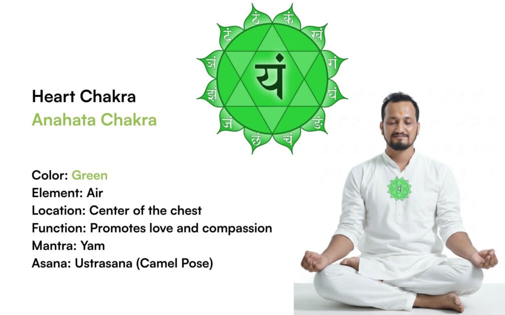 Heart Chakra Anahata Chakra