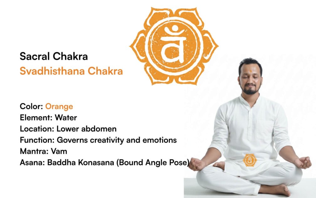 Sacral Chakra
Svadhisthana Chakra