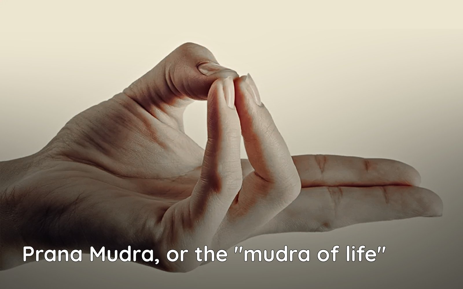 what is prana mudra