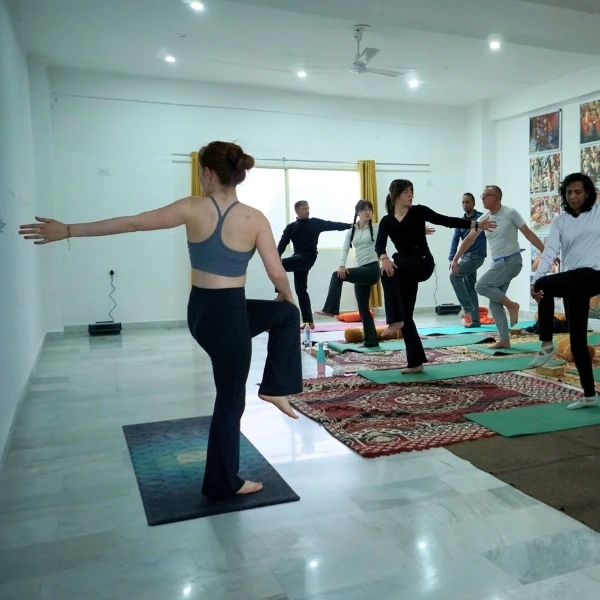 yoga training india
