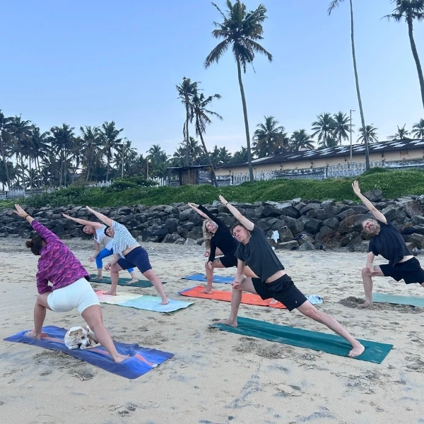 yoga training india