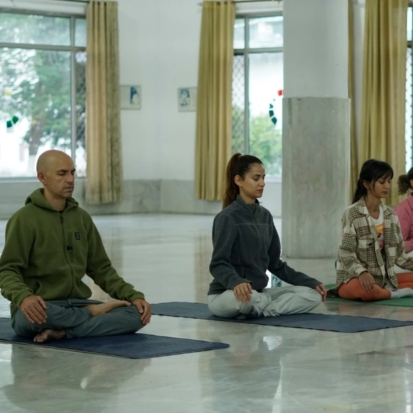 yoga training india